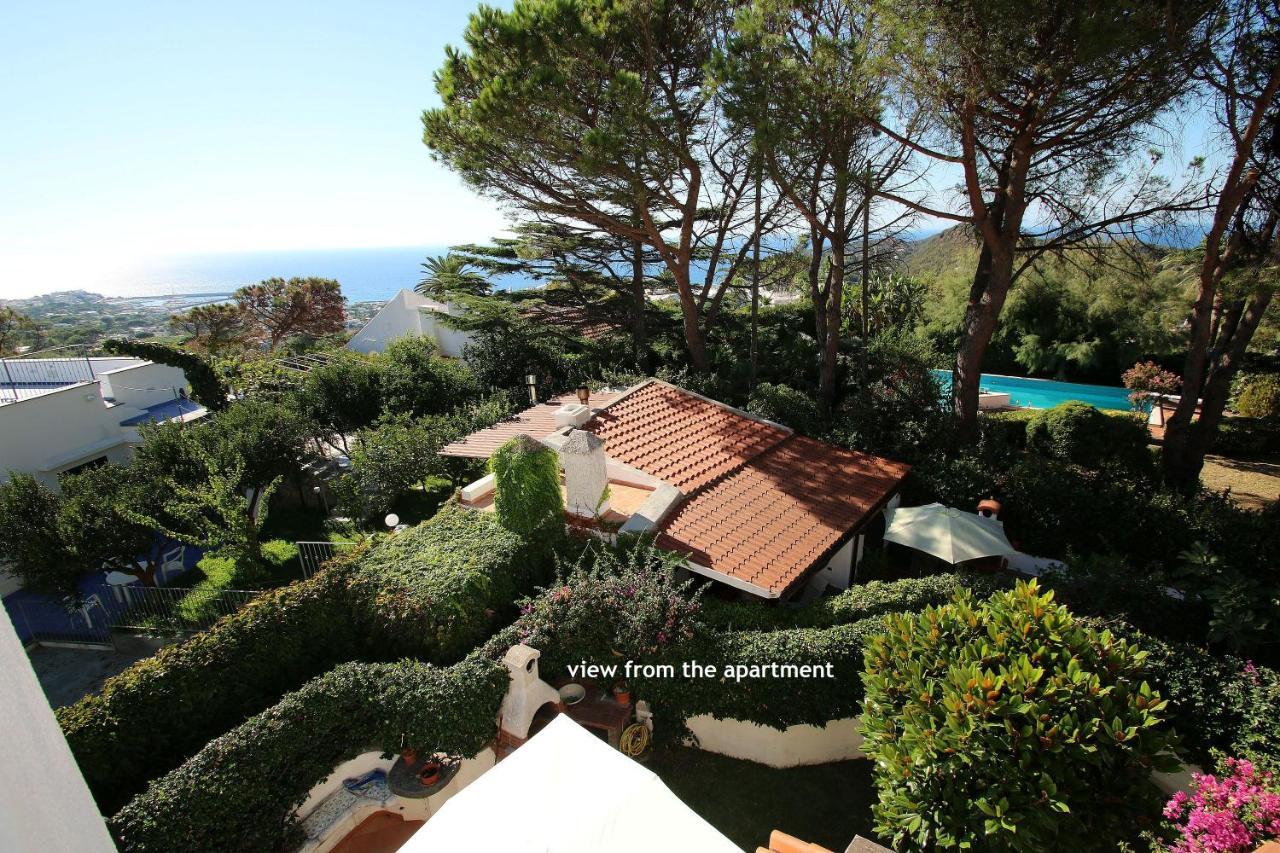 Lacco Terrace Solarium Lacco Ameno  Bagian luar foto